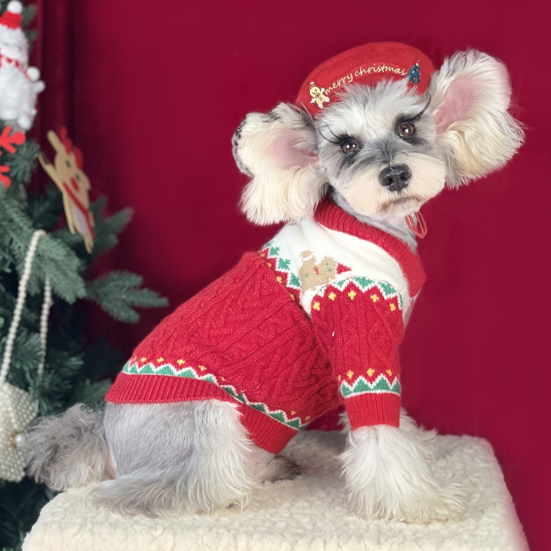 KFX-4733117 Christmas Dog Sweater in Wool - Red and Green, Sizes XS to XXL