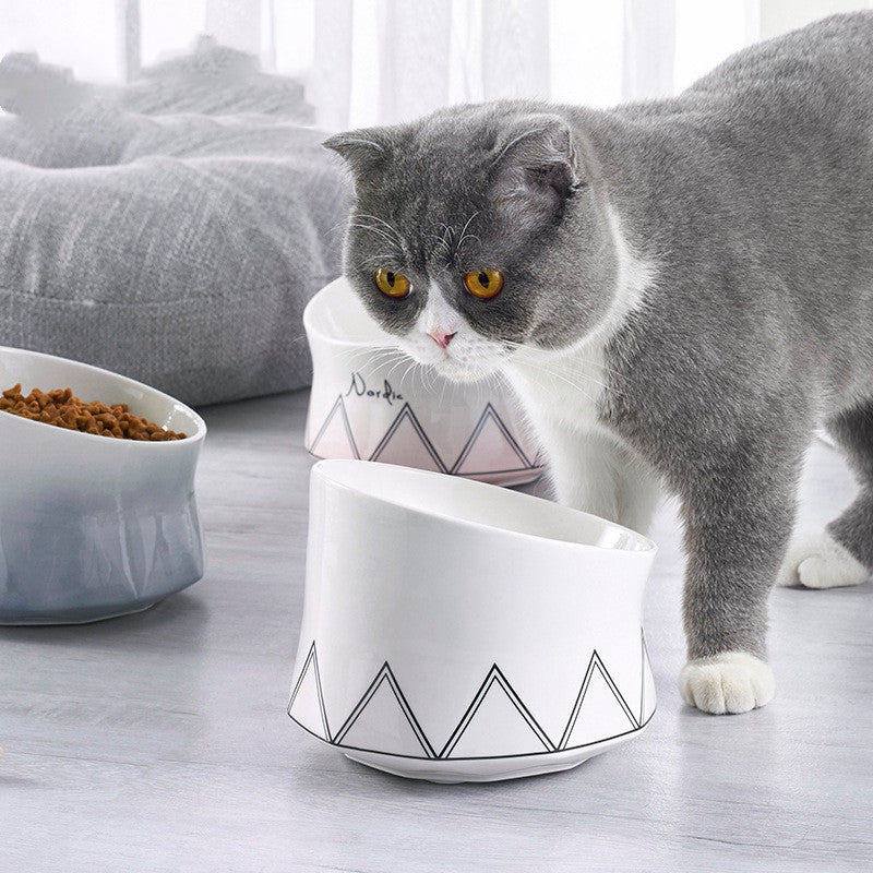 KFX-4741053 Nordic Hand-Sprayed Gradient Food and Water Bowl for Cats and Dogs, 200G Capacity