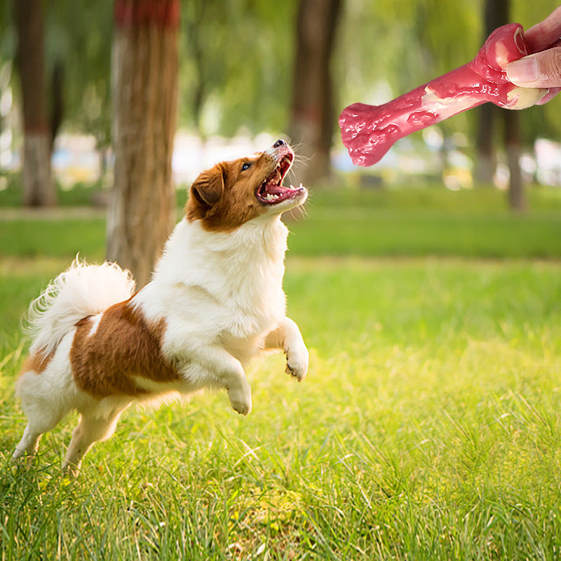 KFX-4741693 Durable Rubber Dog Chew Toy - Molar Stick for Teeth Grinding and Delayed Eating, Large 20.5x9cm