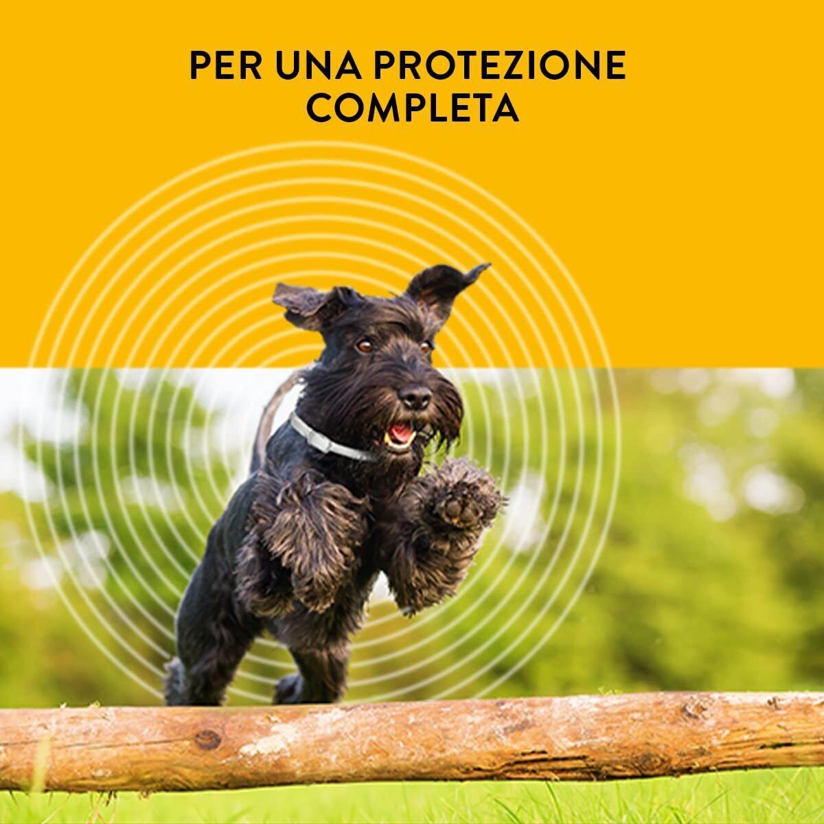 KFX-4748605 Insect Repellent Collar for Dogs and Cats - Available in Various Sizes