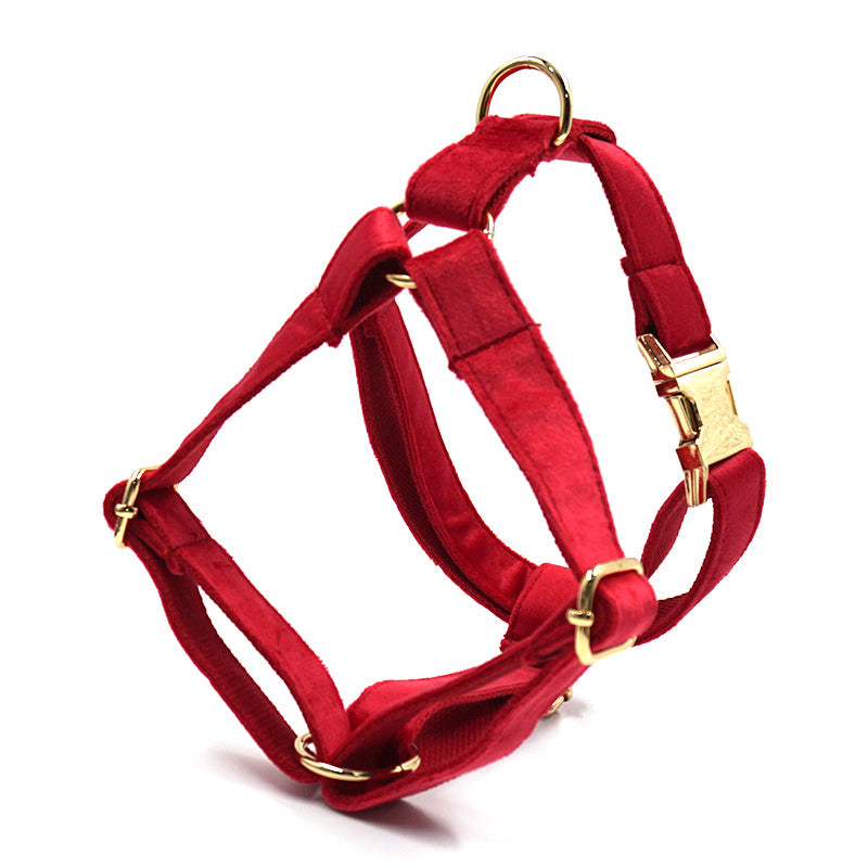 KFX-4756157 Red Thick Velvet Pet Collar and Leash Set with Gold Buckle and Bow Tie for Christmas