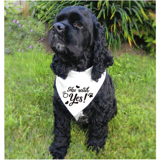 KFX-4759741 White Polyester Dog Scarf for Weddings with "He Asked" and "She Said Yes" Design
