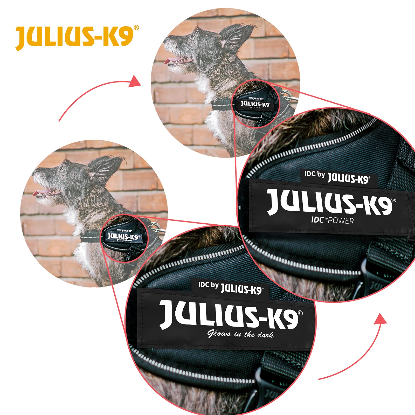 KFX-4763965 Customizable Oxford Cloth Towing Rope Chest Strap for Medium and Large Dogs