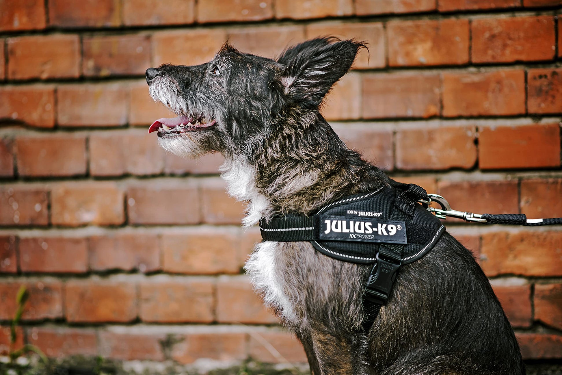 KFX-4763965 Customizable Oxford Cloth Towing Rope Chest Strap for Medium and Large Dogs