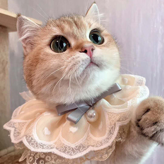 KFX-4769853 Cat Bib with Lace Trim - Cotton Polyester Saliva Towel - Universal Princess Style