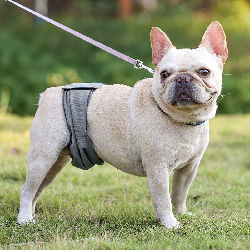 KFX-4771517 Men's Graphene Dog Diaper Bellyband - Comfortable, Casual Design in Black and Gray, Sizes XS-2XL