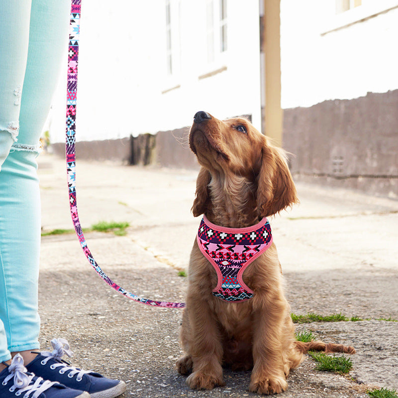 KFX-4772925 Trendy Breathable Chest Strap Harness for Small and Medium Dogs - Available in Blue, Purple, and Orange