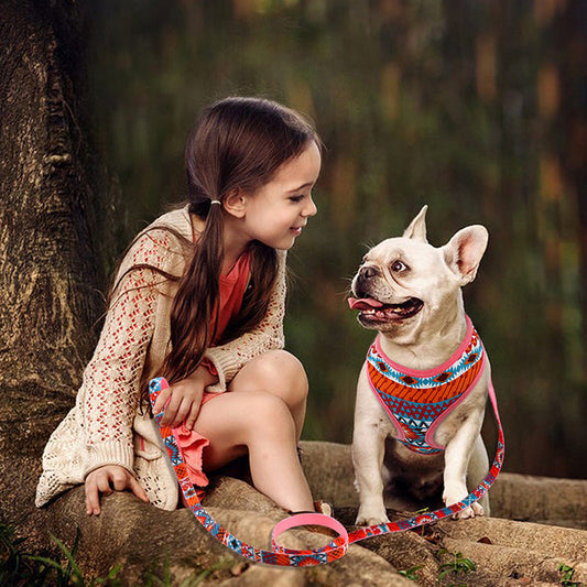 KFX-4772925 Trendy Breathable Chest Strap Harness for Small and Medium Dogs - Available in Blue, Purple, and Orange