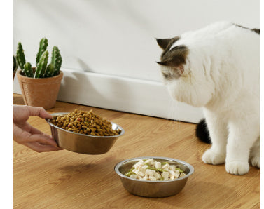 KFX-4777405 Stainless Steel Pet Bowl - Non-slip Easy to Clean Dog Feeder in Various Sizes