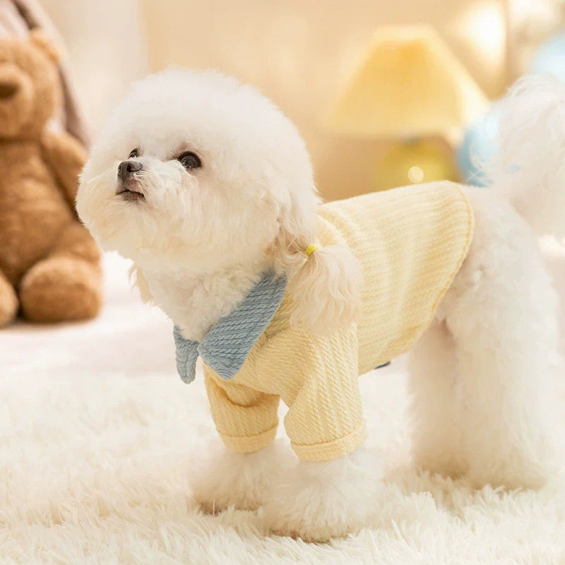 KFX-4778173 Color-Block T-Shirt for Small & Medium Dogs with Bow Tie Design - Cozy & Stylish Pet Apparel
