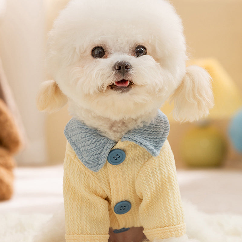 KFX-4778173 Color-Block T-Shirt for Small & Medium Dogs with Bow Tie Design - Cozy & Stylish Pet Apparel
