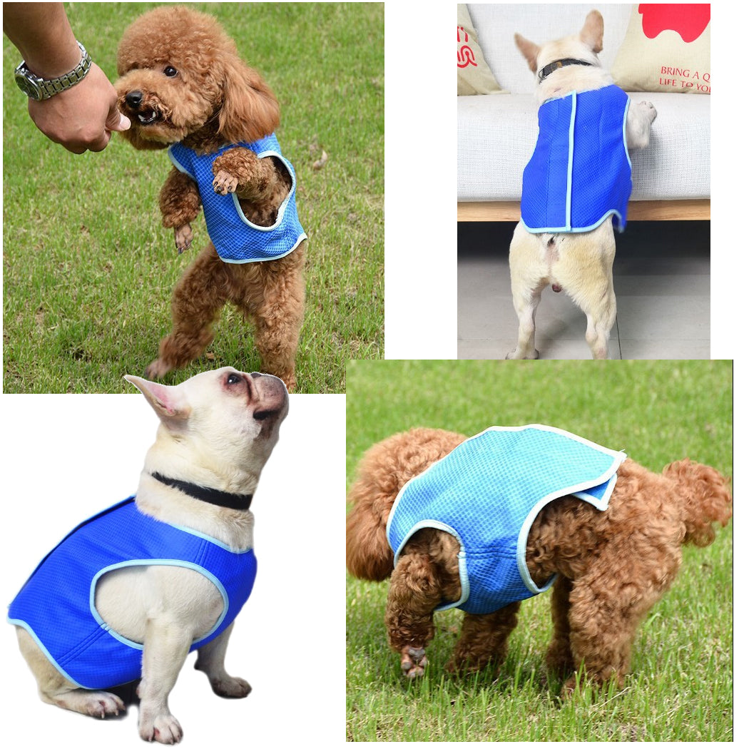 KFX-4781757 Cooling Vest for Dogs and Cats - Summer Pet Clothes for Heat Relief, Lightweight and Breathable Design