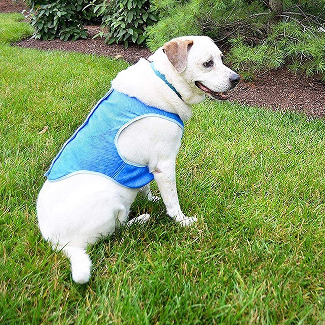 KFX-4781757 Cooling Vest for Dogs and Cats - Summer Pet Clothes for Heat Relief, Lightweight and Breathable Design