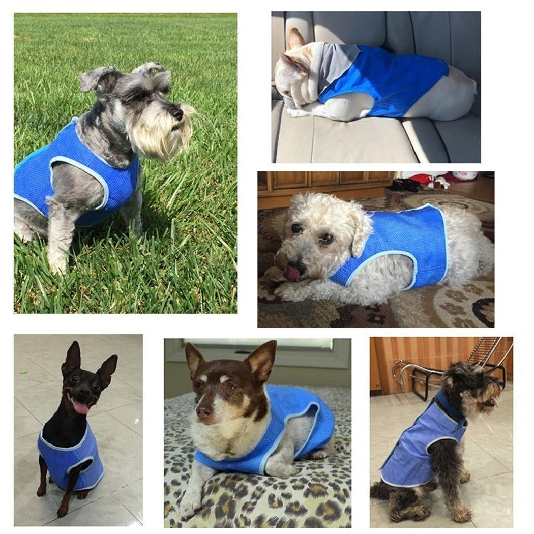 KFX-4781757 Cooling Vest for Dogs and Cats - Summer Pet Clothes for Heat Relief, Lightweight and Breathable Design