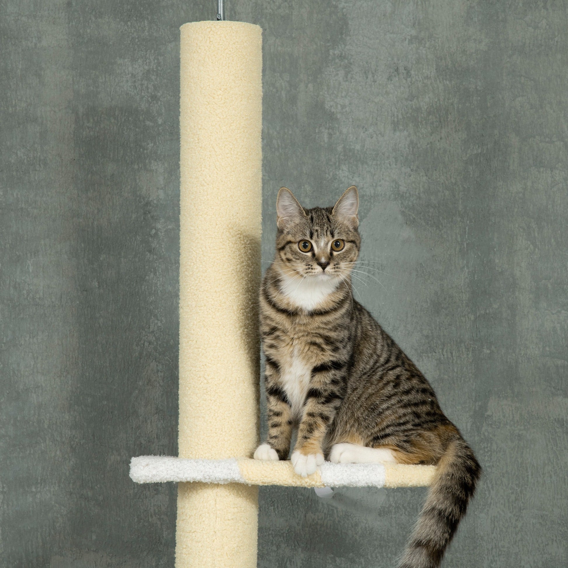KFX-4782653 Adjustable 4-Tier Floor to Ceiling Cat Tree with Scratch Posts and Plush Platforms for Cats Under 10 lbs
