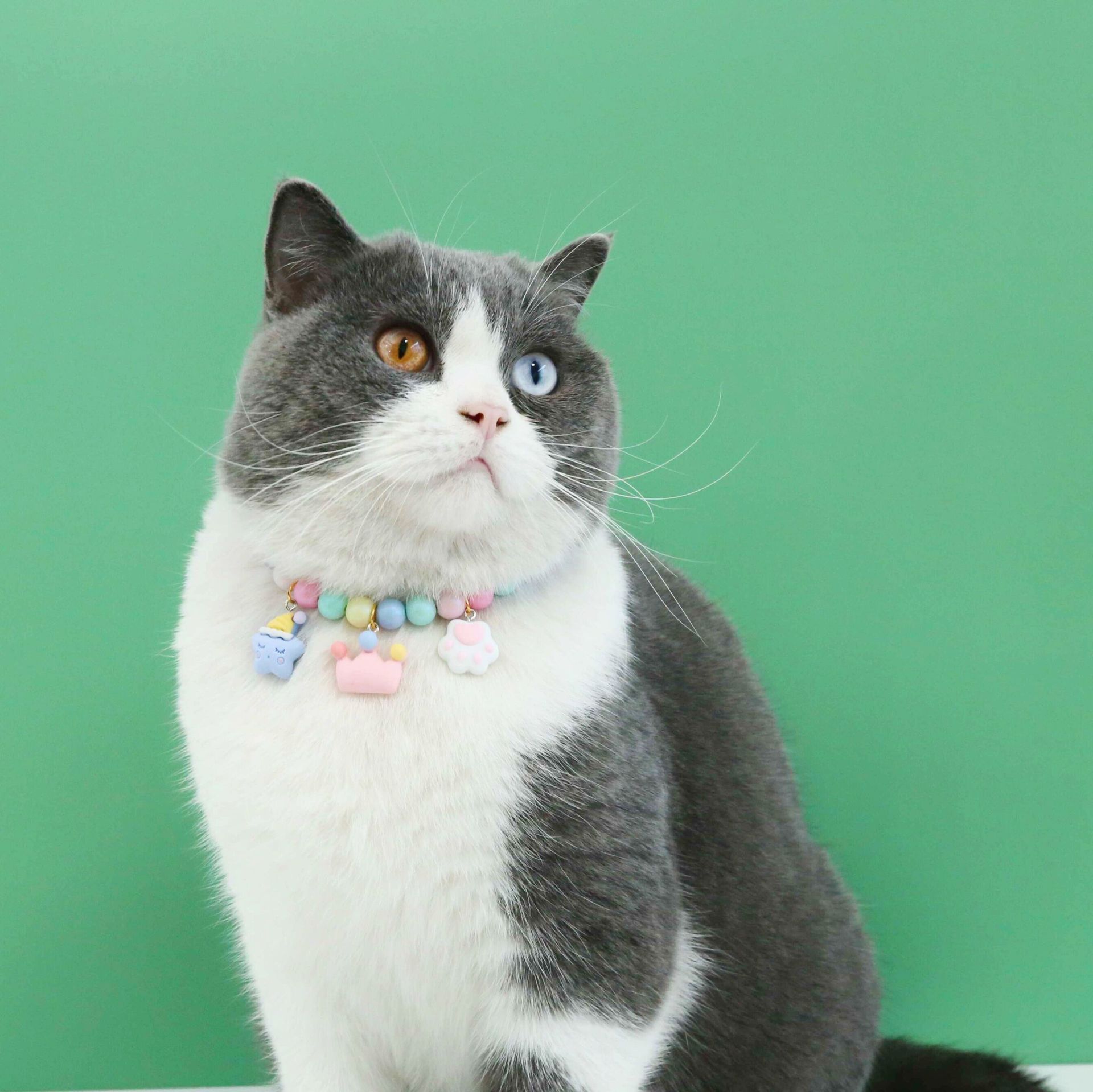 KFX-4787133 Colorful Macaron Pearl Dream Moon Headdress and Meteor Rabbit Collar Accessories Set