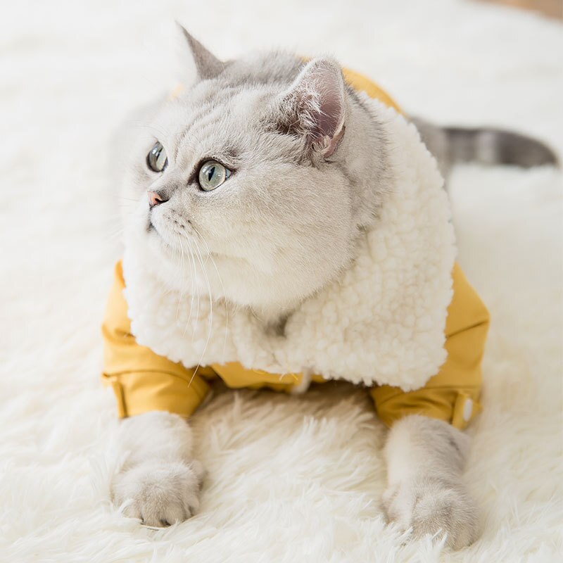 KFX-4789309 Thick Winter Pet Coat Jacket for Dogs and Cats, Soft Denim Fabric with Lamb Velvet Lining