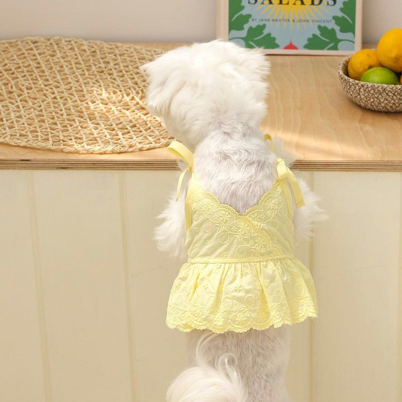 KFX-4795453 Charming Lace Dog and Cat Skirt with Bowknot Detail in Multiple Colors