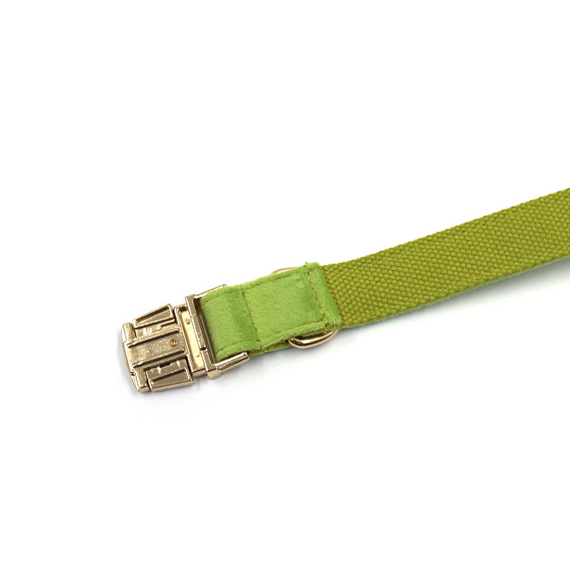 KFX-4796861 Green Velvet Dog Collar with Gold Buckle - Sizes XS to XL