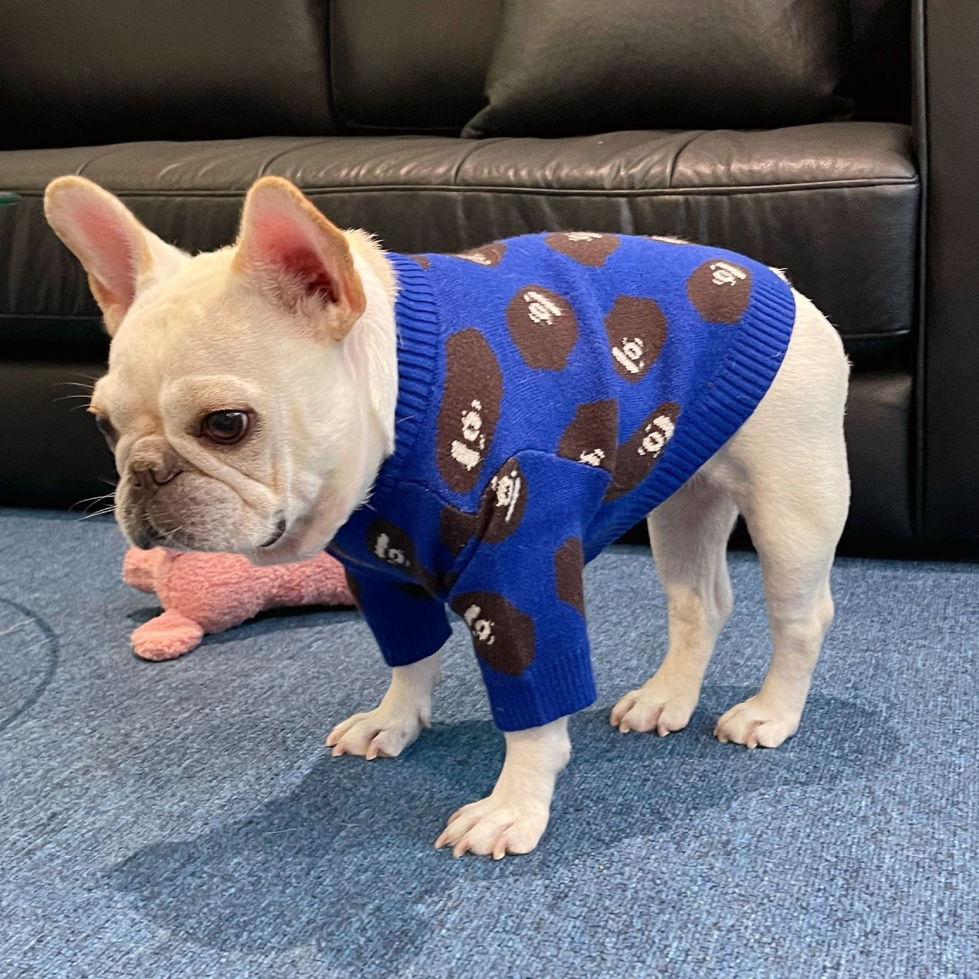 KFX-4798653 Cozy Blue Wool Sweater for Dogs and Cats in Multiple Sizes