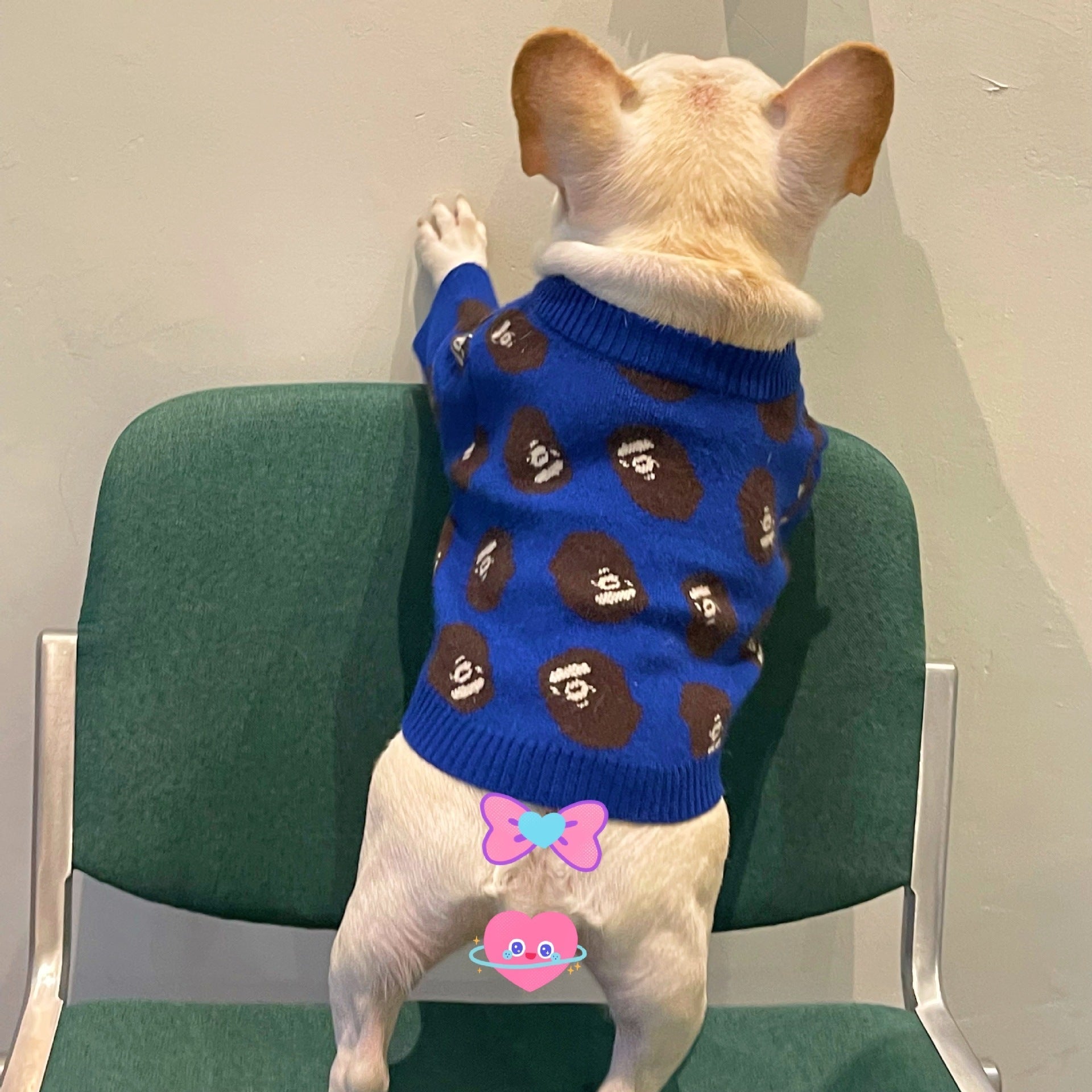 KFX-4798653 Cozy Blue Wool Sweater for Dogs and Cats in Multiple Sizes