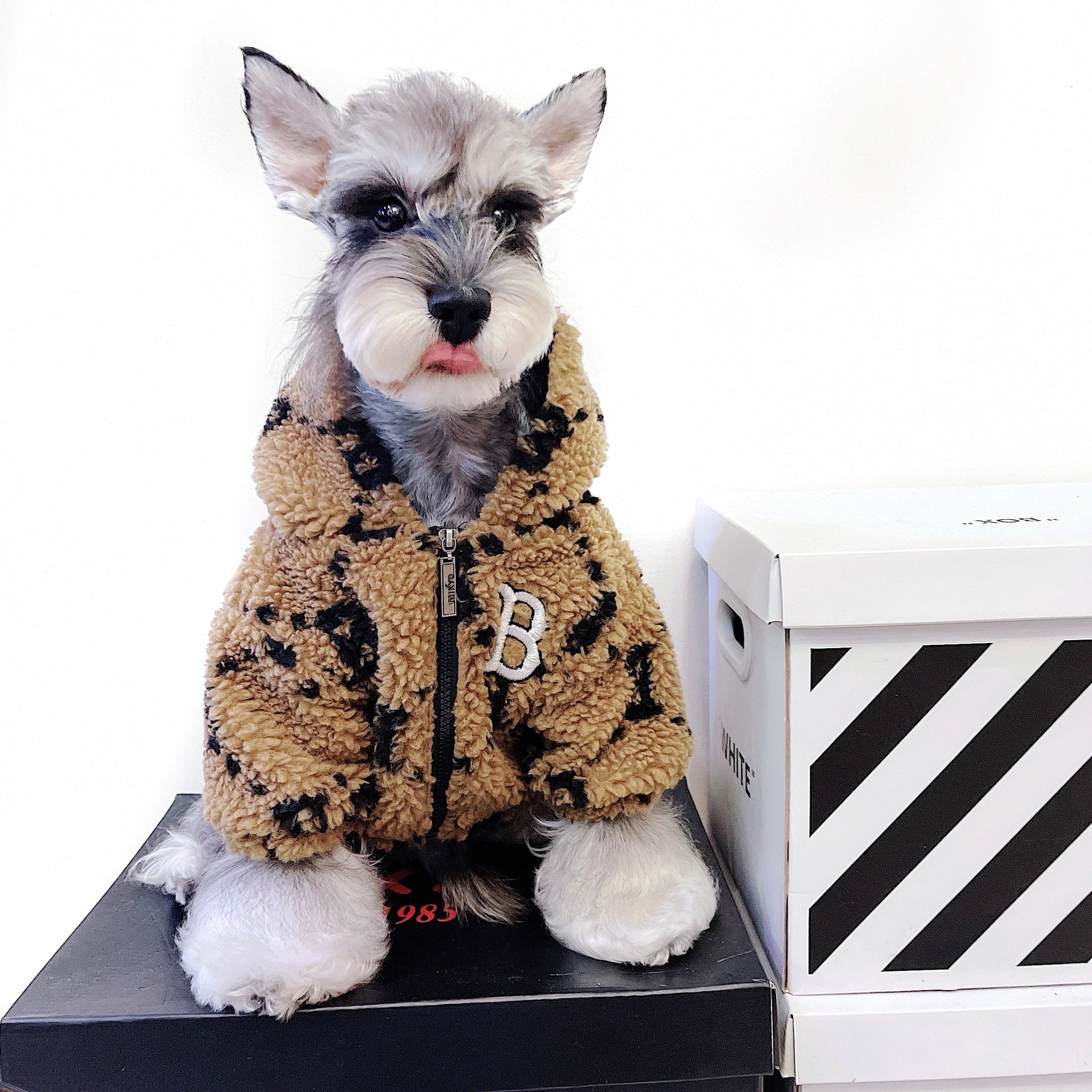 KFX-4801213 Thickened Lamb Fleece Coat for Autumn and Winter - Four-Legged Apparel in Yellow