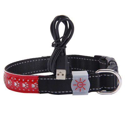 KFX-4802621 LED Light-Up Pet Collar with USB Charging - Available in Multiple Sizes