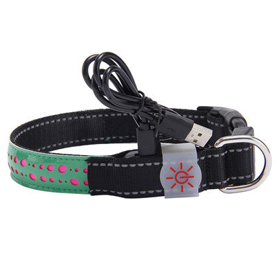 KFX-4802621 LED Light-Up Pet Collar with USB Charging - Available in Multiple Sizes