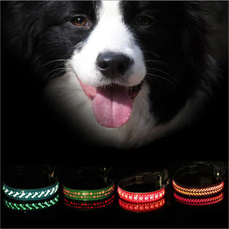 KFX-4802621 LED Light-Up Pet Collar with USB Charging - Available in Multiple Sizes