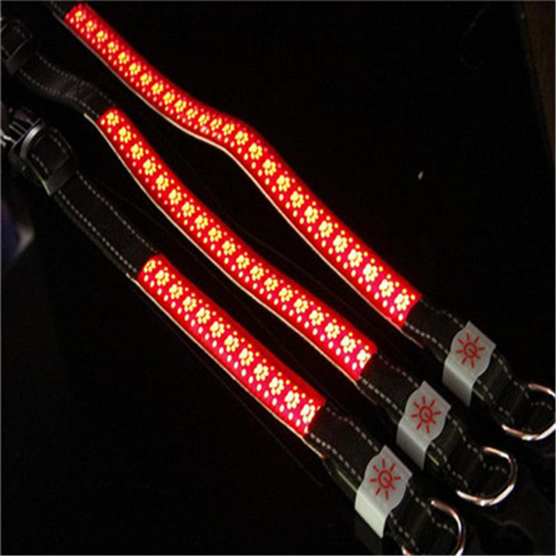 KFX-4802621 LED Light-Up Pet Collar with USB Charging - Available in Multiple Sizes