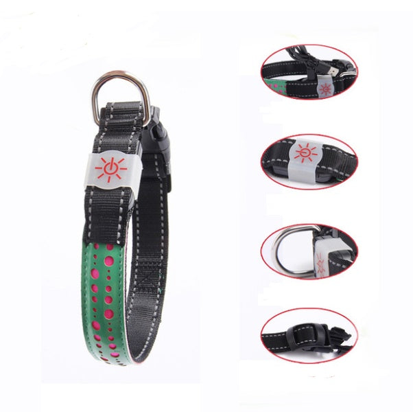 KFX-4802621 LED Light-Up Pet Collar with USB Charging - Available in Multiple Sizes