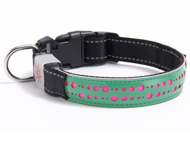 KFX-4802621 LED Light-Up Pet Collar with USB Charging - Available in Multiple Sizes