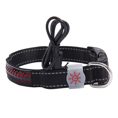 KFX-4802621 LED Light-Up Pet Collar with USB Charging - Available in Multiple Sizes