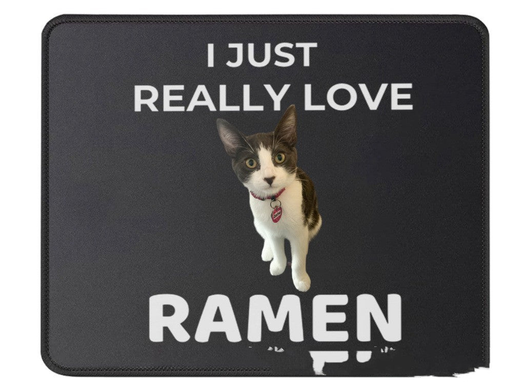 KFX-4808253 Cat Cloth Mat - Multiple Sizes Available (40x60cm, 50x80cm, 60x90cm, 40x120cm)