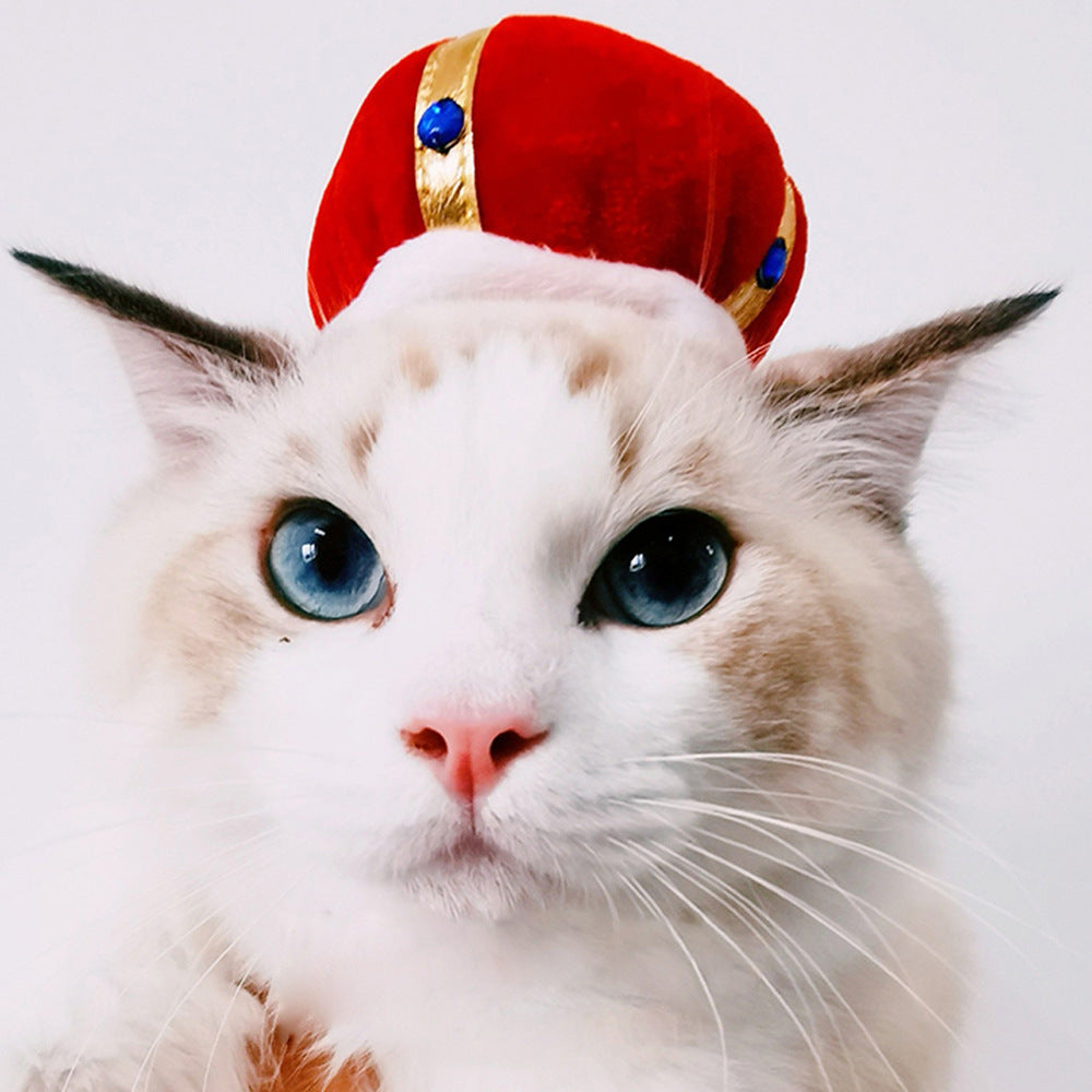 KFX-4811197 Cartoon-Style Warm Hat for Cats and Dogs - Fun Pet Costume Accessory