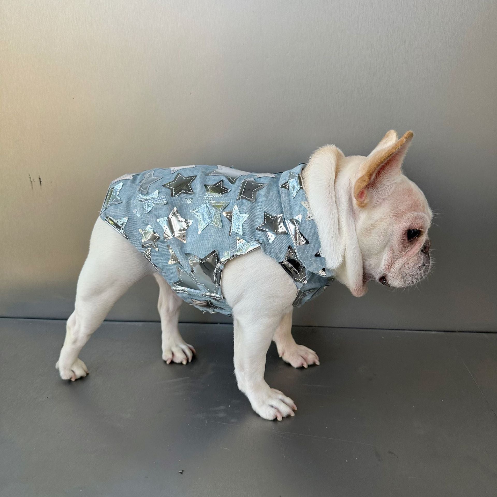 KFX-4817725 Light Blue Summer Denim Vest Jacket for Cats and Dogs - Casual Pet Clothing in Various Sizes