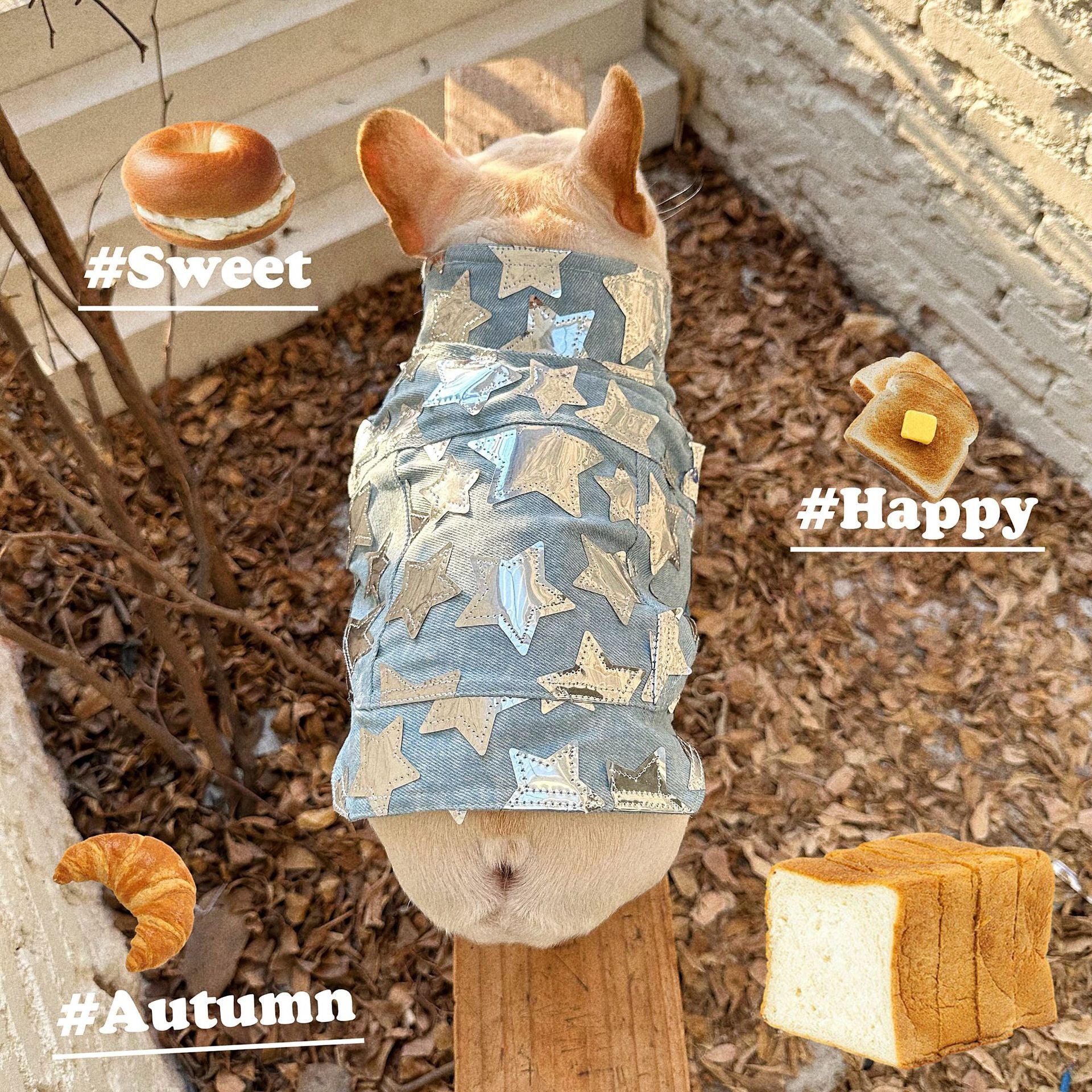 KFX-4817725 Light Blue Summer Denim Vest Jacket for Cats and Dogs - Casual Pet Clothing in Various Sizes