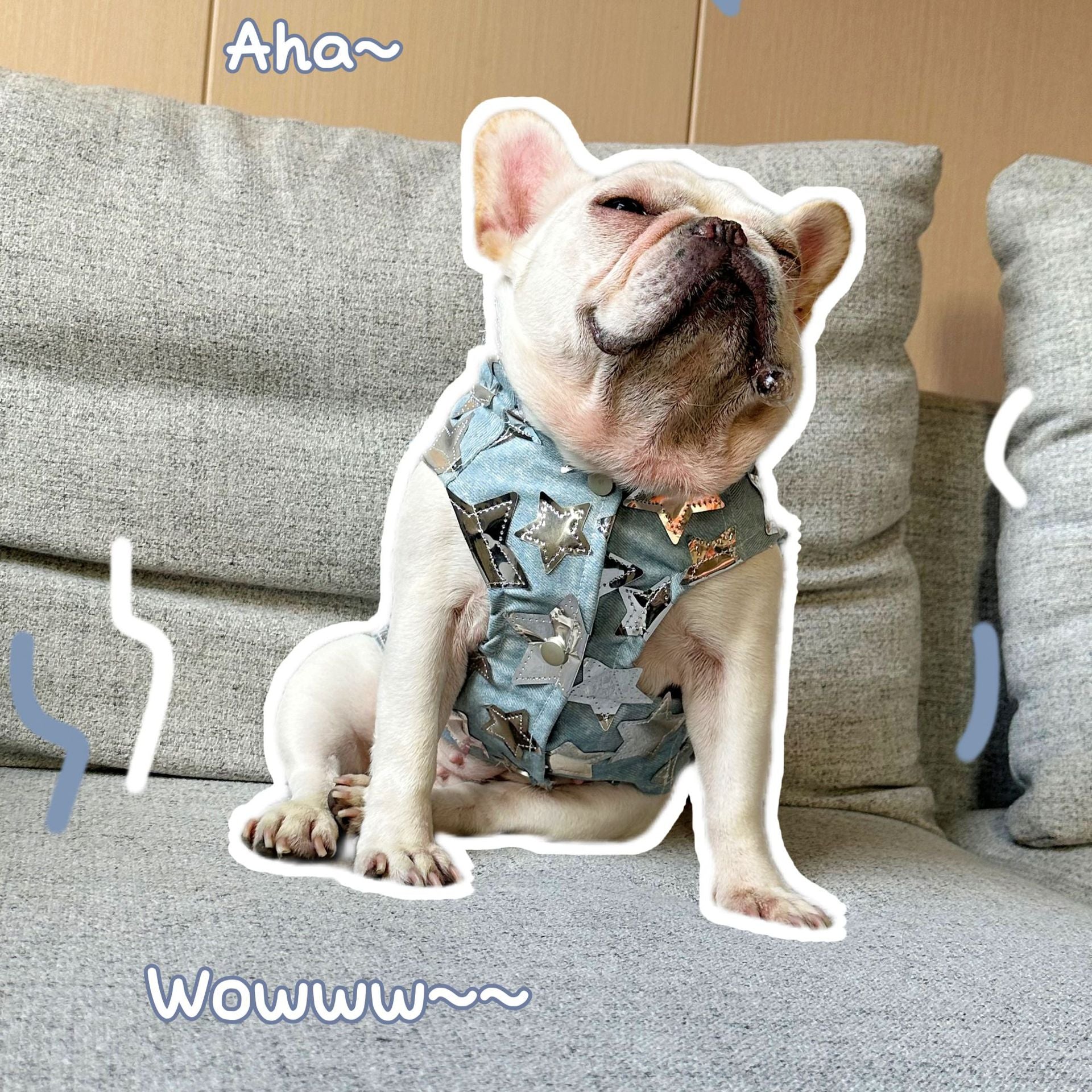 KFX-4817725 Light Blue Summer Denim Vest Jacket for Cats and Dogs - Casual Pet Clothing in Various Sizes