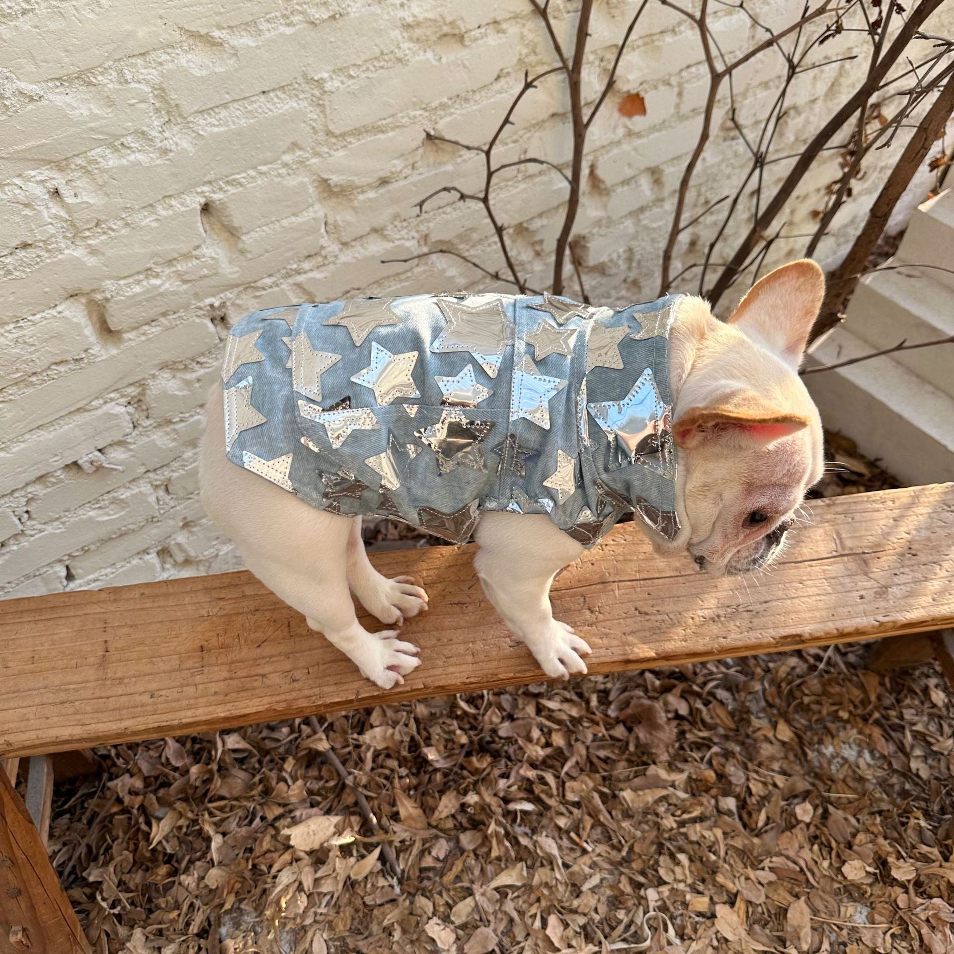 KFX-4817725 Light Blue Summer Denim Vest Jacket for Cats and Dogs - Casual Pet Clothing in Various Sizes
