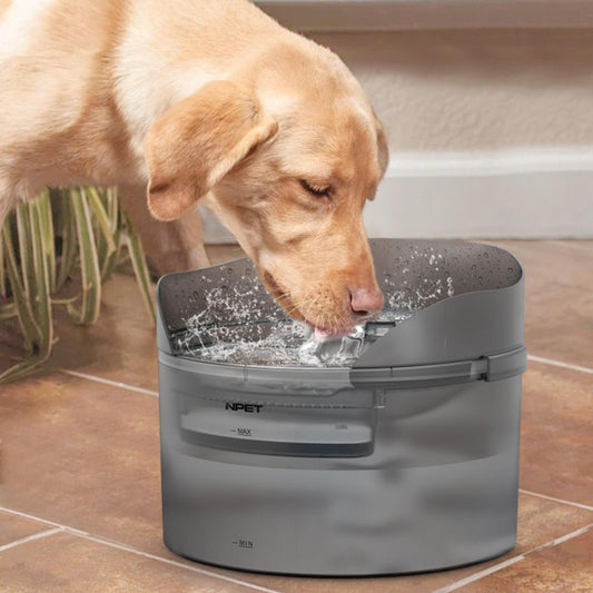 KFX-4817981 Automatic Pet Water Dispenser with Circulation Flow and Filter Options
