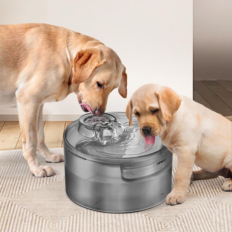 KFX-4817981 Automatic Pet Water Dispenser with Circulation Flow and Filter Options