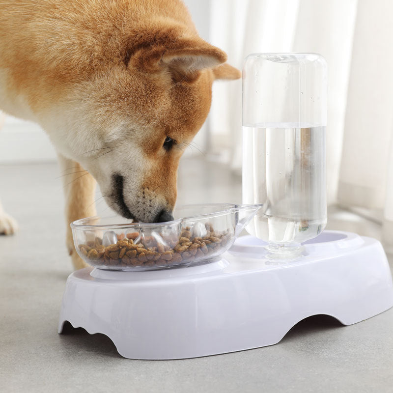 KFX-4823869 Automatic Water Refilling Cat Bowl with Choking Prevention – Transparent Plastic, Multiple Colors
