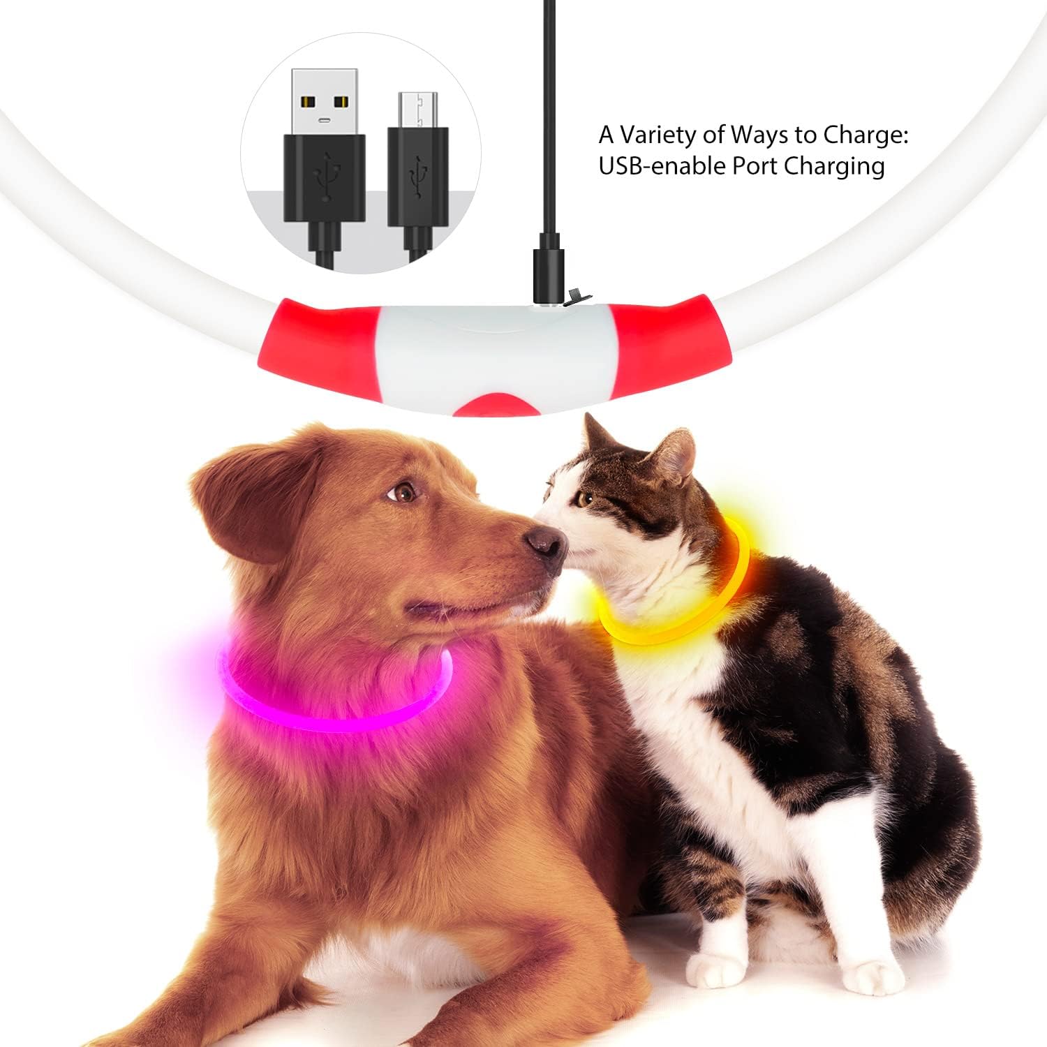 KFX-4825149 LED Dog Collar - Rechargeable Glow in the Dark Safety Necklace for Pets, Adjustable Fit, USB Charging