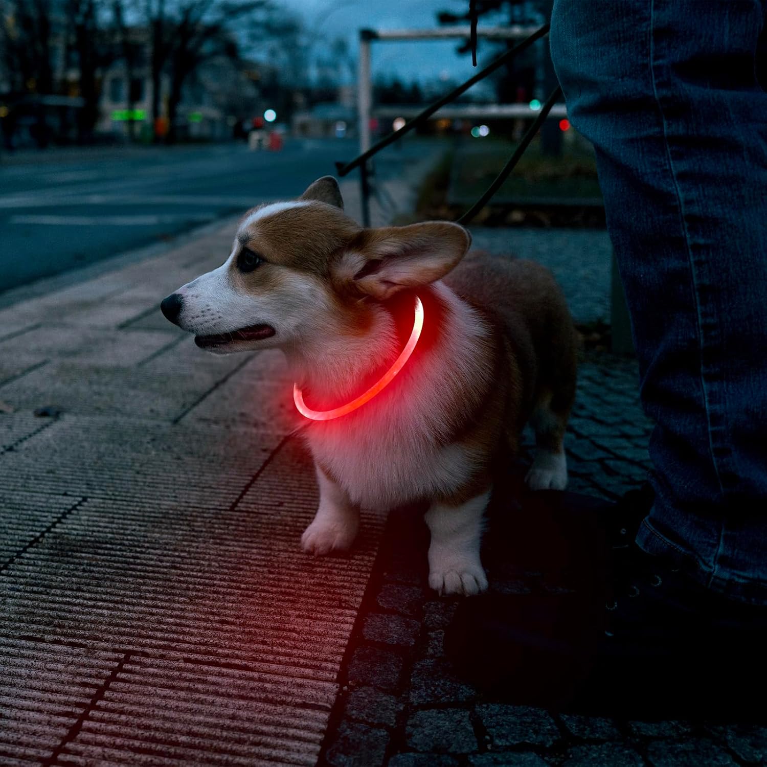 KFX-4825149 LED Dog Collar - Rechargeable Glow in the Dark Safety Necklace for Pets, Adjustable Fit, USB Charging