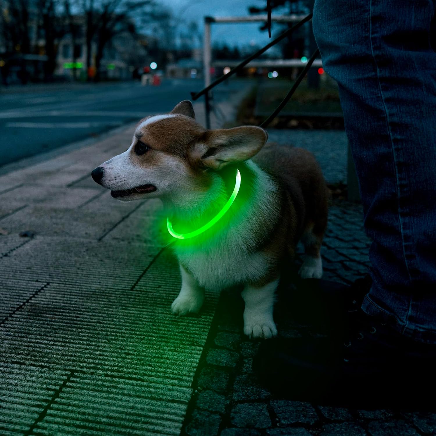 KFX-4825149 LED Dog Collar - Rechargeable Glow in the Dark Safety Necklace for Pets, Adjustable Fit, USB Charging