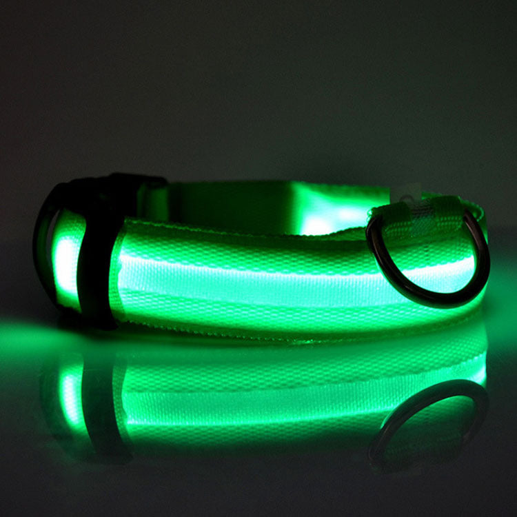 KFX-4825661 LED Safety Dog Collar with Multiple Flashing Modes and Replaceable Battery
