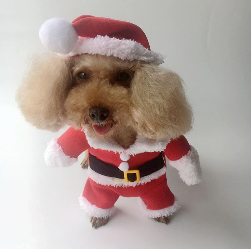 KFX-4826045 Santa Claus Transformation Costume for Pets - Casual Red Outfit in Sizes 8-16