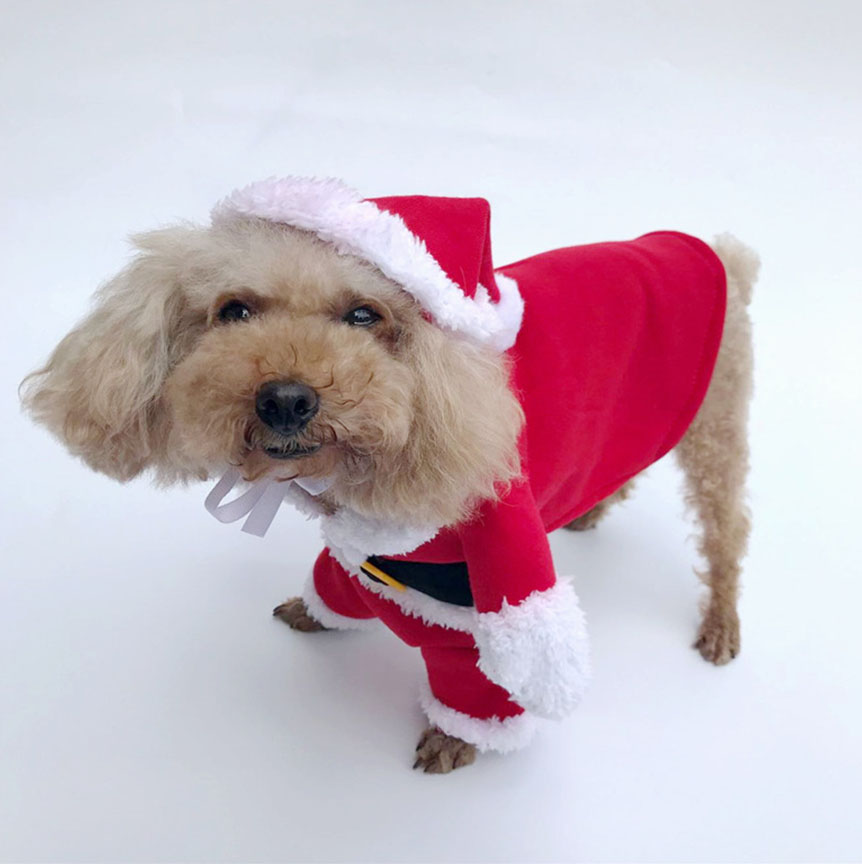 KFX-4826045 Santa Claus Transformation Costume for Pets - Casual Red Outfit in Sizes 8-16