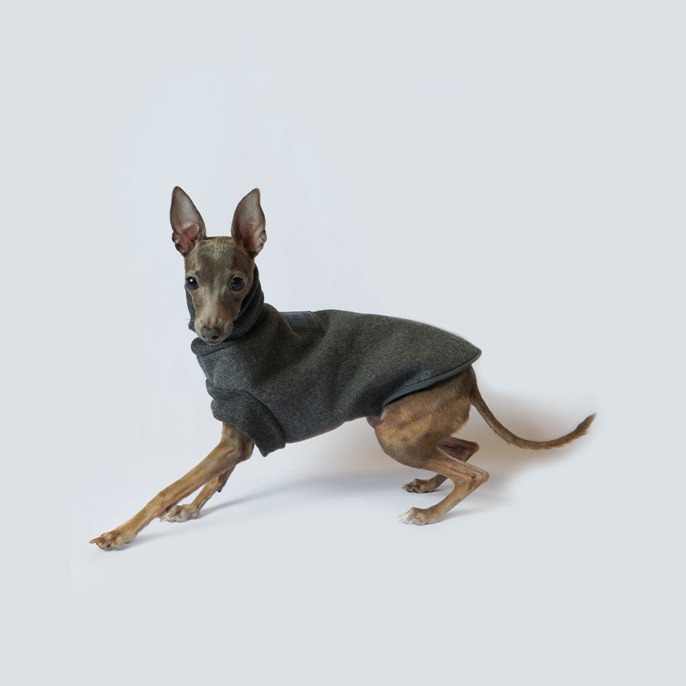 KFX-4841533 Windproof Thickened Polar Flannel Dog Coat for Autumn and Winter in Gray