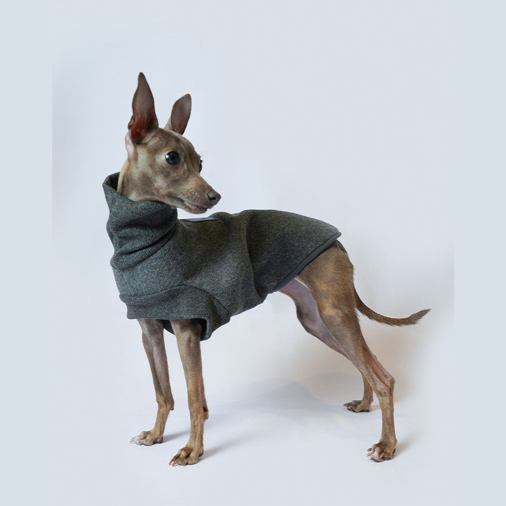 KFX-4841533 Windproof Thickened Polar Flannel Dog Coat for Autumn and Winter in Gray